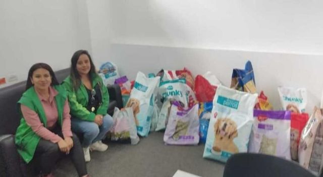 Animales afectados por inundaciones en Córdoba: hoy cierra donatón en Bogotá