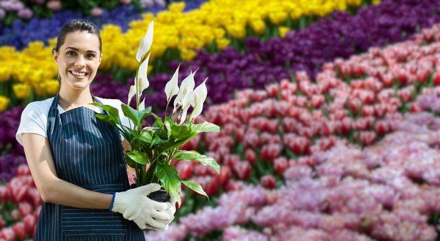 Estas son las cifras que mantienen a Cundinamarca al frente de la exportación de flores