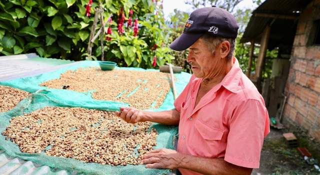 Del campo al mundo: Cundinamarca se posiciona entre los líderes en exportaciones