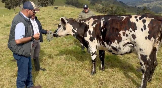 Ganaderos de Bogotá trabajan en una iniciativa que impactará la economía campesina