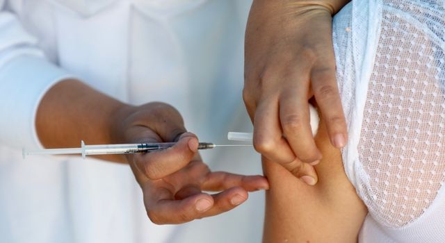 VIDEO | Alerta en Cundinamarca: activan plan masivo de vacunación contra fiebre amarilla