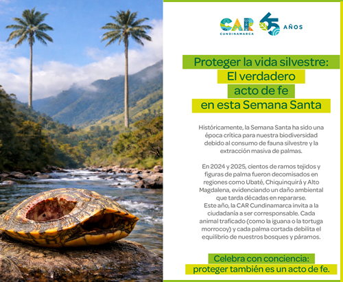 CAR-Semana Santa 2026