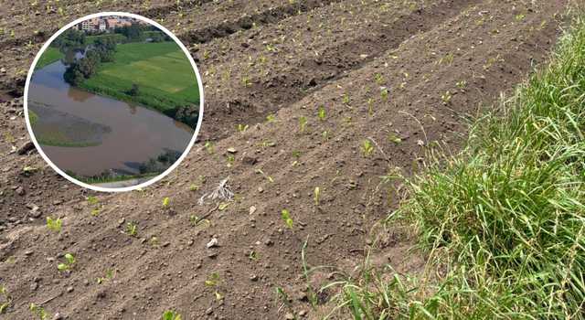 Cultivo ilegal de papa desviaba agua del acueducto en zona protegida del río Bogotá