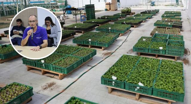 Cundinamarca impulsará la siembra de 460.000 árboles nativos en sus municipios