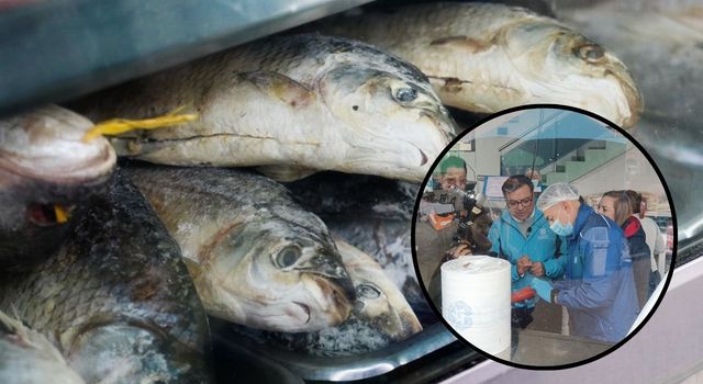 Evite intoxicaciones: esto debe saber antes de comprar pescado en Bogotá