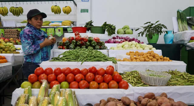 Fortalecimiento técnico para organizaciones de productores del sector hortifrutícola en Cundinamarca