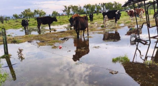 Lluvias podrían intensificarse: ya hay 87 emergencias en Cundinamarca este año