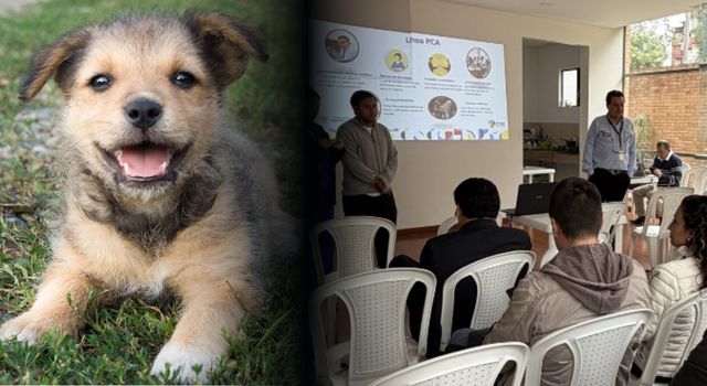 Avanza la estrategia para mejorar la atención de maltrato animal en Cundinamarca