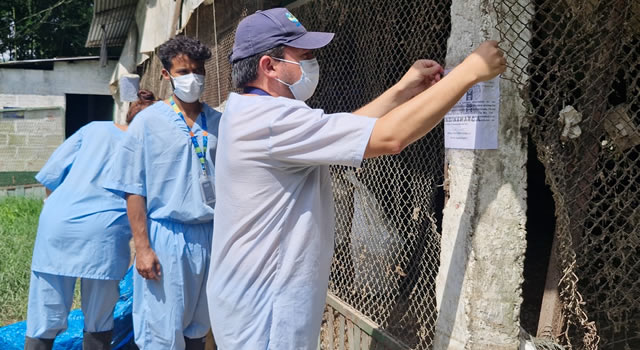 Por malos olores y proliferación de aves carroñeras cierran galpones en Cundinamarca
