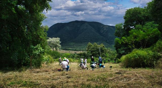 Compensaciones ambientales bajo la lupa: CAR refuerza monitoreo en Cundinamarca