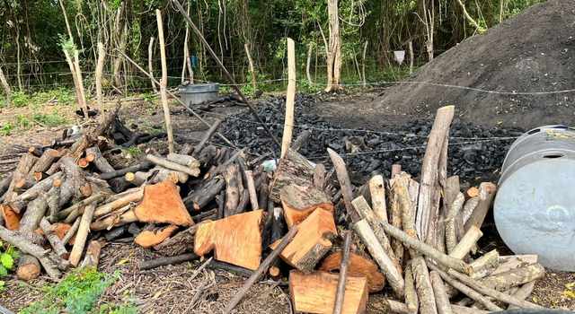 Destrucción ambiental en Beltrán: esto hallaron en bosque seco tropical