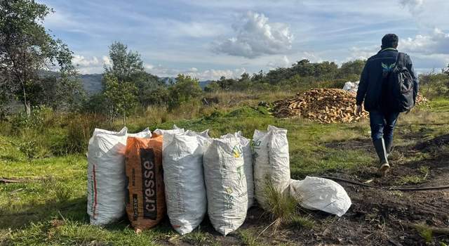 Grave daño ambiental en Cundinamarca: quema ilegal estaba afectando aire y suelo