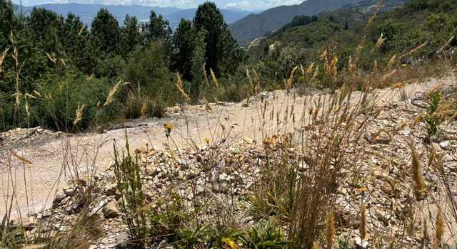 Grave daño ambiental: explotan sin control en pleno ecosistema de Páramo de Chingaza
