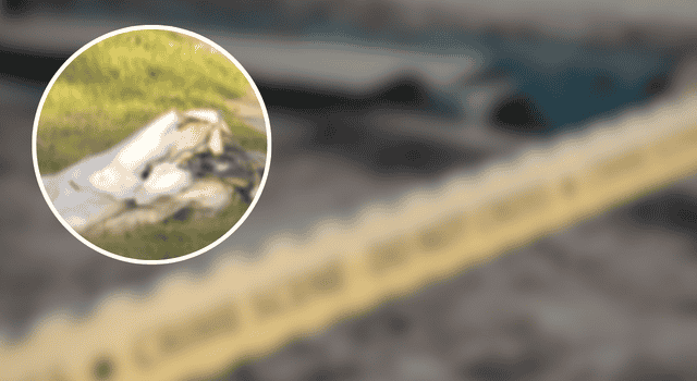 Impactante hallazgo: cadáver envuelto en bolsas alerta a comunidad del sur de Bogotá