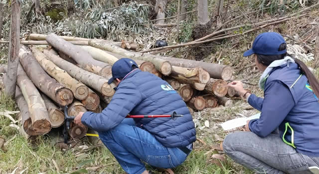 Incautan madera ilegal y capturan taladores en Cundinamarca y Boyacá
