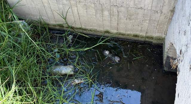 Residuos de producción de queso estaban siendo conducidos hacia el río Bogotá sin tratamiento