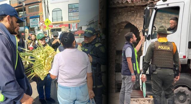 Tráfico de fauna y flora en Cundinamarca muestra reducción en operativos de Semana Santa