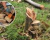 Grave daño ambiental: tala ilegal afecta zona rural en este municipio de Cundinamarca