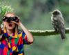 Lagunas, humedales y páramos: así será la gran jornada de avistamiento de aves en Cundinamarca