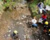 Preocupación en Girardot: nutria apareció en caño rodeado de basura y desechos