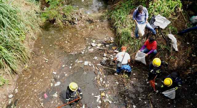 Preocupación en Cundinamarca: nutria apareció en caño rodeado de basura y desechos