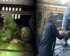 Así fue el rescate de 24 tortugas en Cundinamarca: una ciudadana evitó su posible captura ilegal