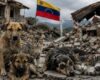 Bogotá recibe donaciones para animales afectados por el terremoto en Venezuela: estos son los puntos de acopio