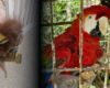 Guacamayas encerradas en diminutas jaulas y un mono en condiciones alarmantes: esto encontró la CAR