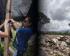 Proyecto solar queda bajo investigación por presuntas afectaciones ambientales en Cundinamarca