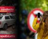 ¿Vio una infracción de tránsito en Bogotá? Así puede denunciarla ante las autoridades