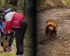 La denuncia de un vecino en Soacha salvó a dos perros que, presuntamente, eran víctimas de maltrato