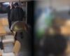 Liberan al hombre que quedó grabado golpeando a una mujer en una pastelería de Bogotá