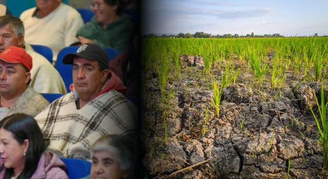 El Niño amenaza al campo: Cundinamarca prueba seguro para 521 pequeños productores