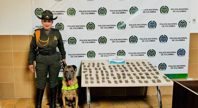 [VIDEO] En Soacha encontraron marihuana oculta en peluches