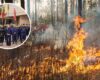 Más incendios forestales causan preocupación: esto hace Bogotá para apoyar al Tolima