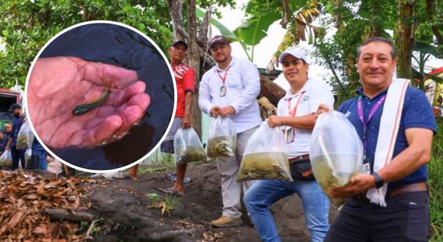 Más peces para el Magdalena: la apuesta que busca apoyar a cientos de familias pescadoras de Cundinamarca