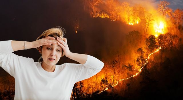 Preocupación por incendios forestales en Cundinamarca: CAR lanza alerta ante llegada de El Niño