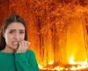 Una quema podría salirle carísima: tendría que pagar más de $37.000 millones si provoca un incendio