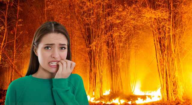 Una quema podría salirle carísima: tendría que pagar más de $37.000 millones si provoca un incendio