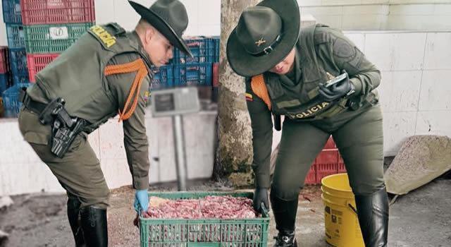 Vendían carne de caballo en Silvania, pero las autoridades desmantelaron el matadero clandestino