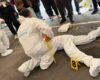 Accidentes de tránsito disparan las alarmas en Cundinamarca: reportan 147 homicidios y 420 lesiones más