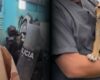 ¿Dónde están los perros y gatos del predio desalojado en Bogotá? Autoridades responden
