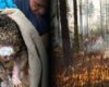 Incendios en Cundinamarca dejan una grave consecuencia para la fauna: 11 animales murieron