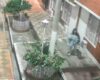 Un bebé de un año fue abandonado en plena madrugada en Bogotá: todo quedó grabado