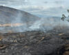 Sigue emergencia por incendios forestales en Cundinamarca