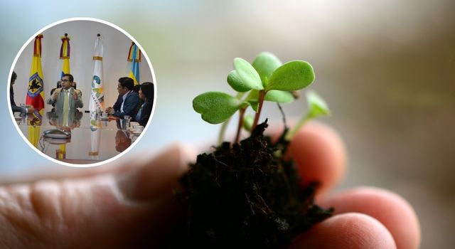 ¡A sembrar se dijo! Cundinamarca tendrá dos nuevas “Áreas de Vida” con 10.000 árboles nativos