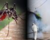 Alerta por dengue en Cundinamarca: anuncian jornadas de control en más de 40 municipios