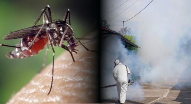 Alerta por dengue en Cundinamarca: anuncian jornadas de control en más de 40 municipios