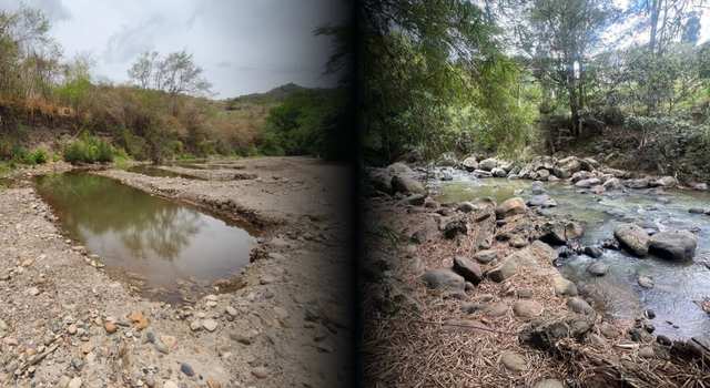 Cundinamarca se queda sin lluvia: CAR alerta por caudales en mínimos históricos