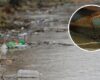 Macabro hallazgo en Soacha: encontraron un cuerpo en un caño de Cazucá